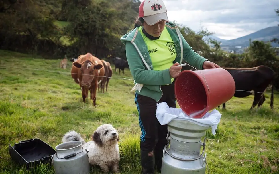 Fast alle Menschen leben hier von der Landwirtschaft. | © UNICEF/Arcos Ecuador: Fast alle Menschen leben hier von der Landwirtschaft.