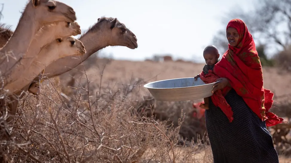 Foto-Reportage: Dürre am Horn von Afrika | © UNICEF/Ayene Äthiopien: Frau mit Kind auf dem Arm gibt Kamelen das letzte bisschen Futter.