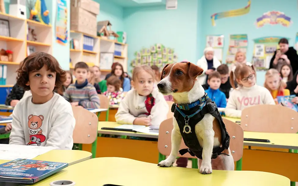 UNICEF/Boyko | Hund Patron hilft mit UNICEF, Kinder vor Minen zu schützen Ukraine-Krieg: Hund Patron hilft mit UNICEF, Kinder vor Minen zu schützen