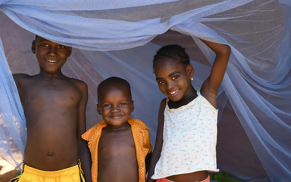 Kinder bereiten sich in Niger auf ihren Schlaf unter einem Moskitonetz vor. Moskitonetze sind wichtige Hilfsgüter.