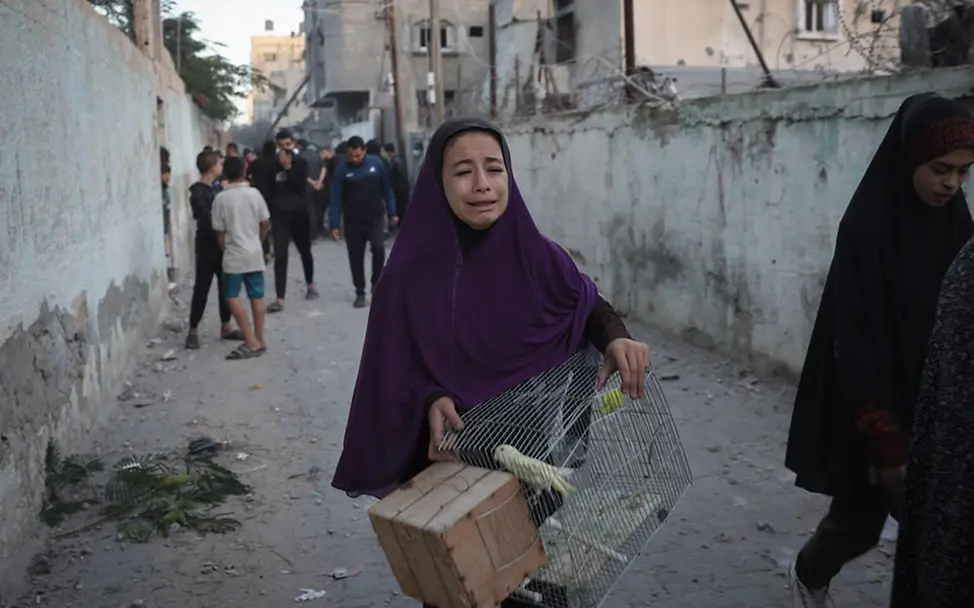 Kinder in Gaza: Ein Mädchen weint auf der Flucht | © UNICEF/El Baba Gaza Kinder: Ein Mädchen weint auf der Flucht. Vor sich trägt es einen Käfig mit einem Kanarienvogel.