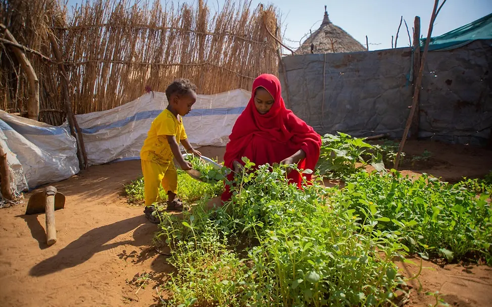 Sudan Hungersnot: Mutter Ohag pflegt ihr Gemüse in ihrem kleinen Garten