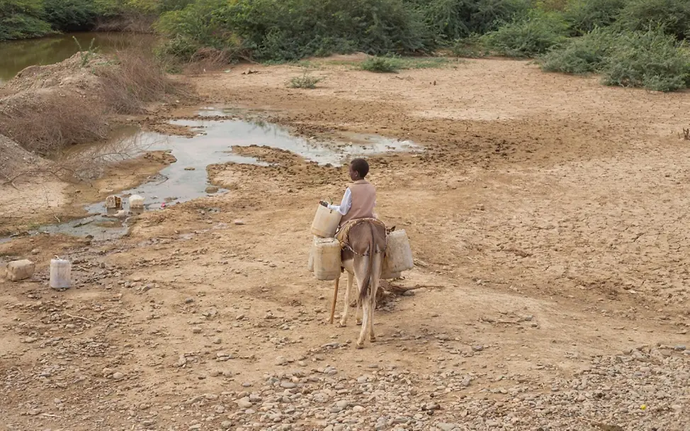 Sudan Hungersnot: Ein Junge auf einem Esel vor einem verschmutzten Wasserloch