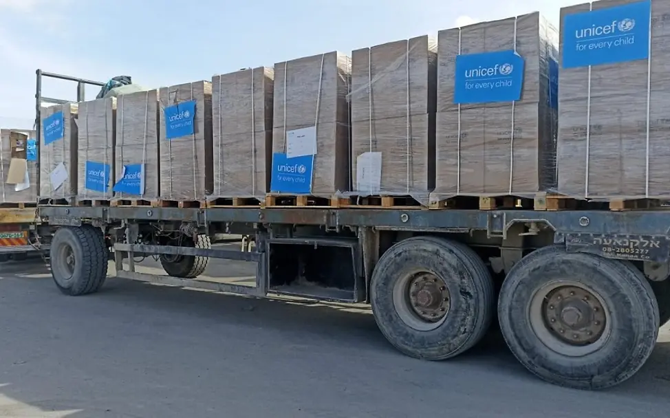 Gaza: Ein Lkw mit Hilfsgütern auf dem Weg nach Gaza.