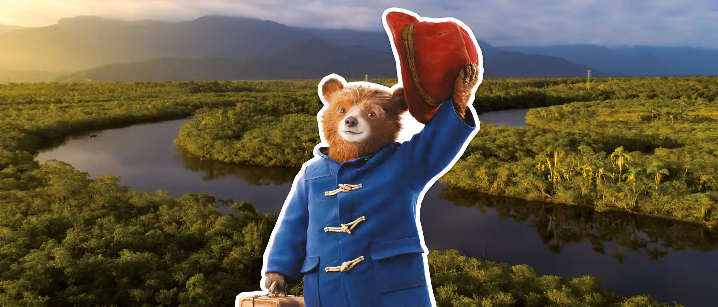 Paddingtons Postkarten | © P&CO. LTD/SC 2026 Der Bär Paddington steht mit Koffer in der Tatze in einem Jungle und hebt zum Gruß den Hut.