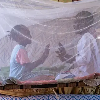 Moskitonetze im Sudan_UNI816431