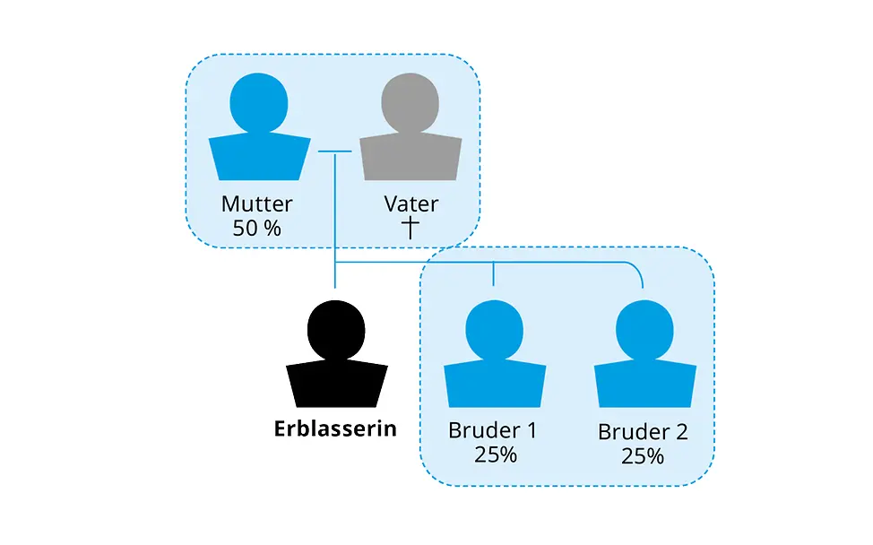 Hat die Erblasserin keine Kinder, erben erst die Eltern und dann die Geschwister. Gesetzliche Erbfolge: Grafische Darstellung der Erbteile mit Erben zweiter Ordnung.