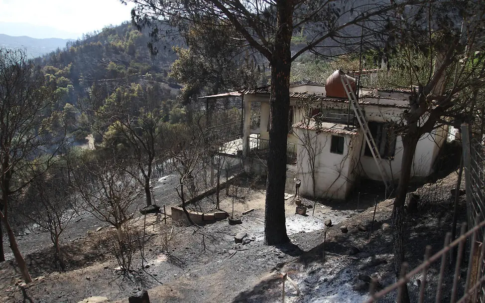 Waldbrand Folgen: Ein zerstörtes Haus auf einem Berg in einem Waldbrandgebiet.