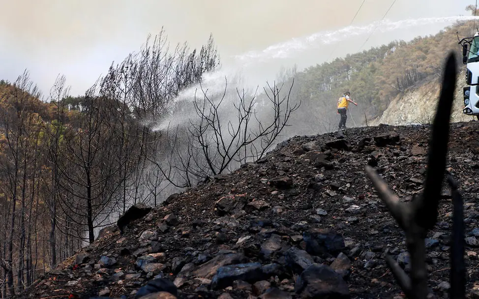 Waldbrand Folgen: Ein Mann beim Löschen von Bänden auf einem Hügel.